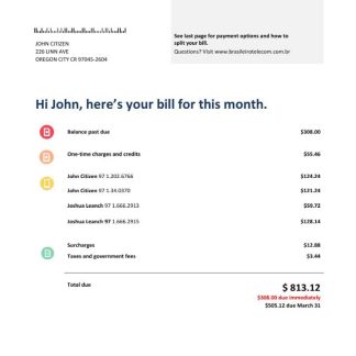 Brazil Braziliero Telecom telecommunication bill Word and PDF template download template file