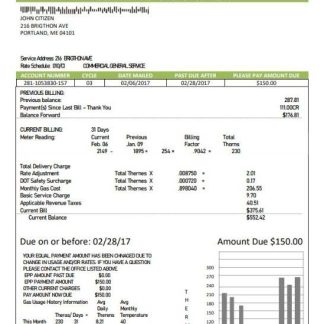 USA Maine Natural Gas Portland utility bill template in Word and PDF format download template file