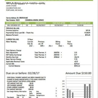 USA Marine Maine Natural Gas Portland utility bill template in Word format download template file