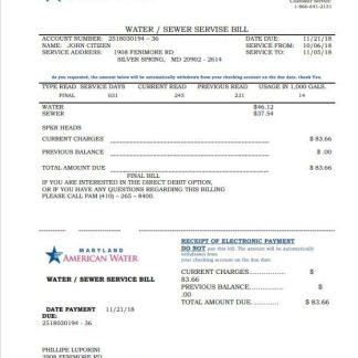 USA Maryland American water utility bill template in Word and PDF format download template file
