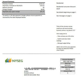 USA Massachusetts Boston NYSEG electricity utility bill template in Word and PDF format download template file