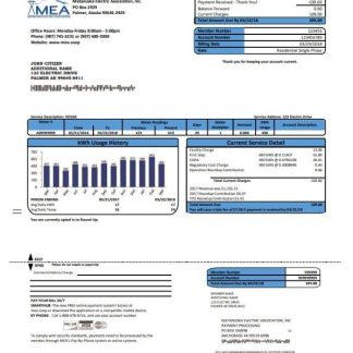 USA MEA Alaska electricity utility bill template in Word and PDF format download template file