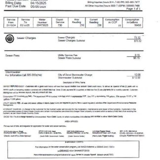 USA Miami Dade utility bill template in Word and PDF formats download template file