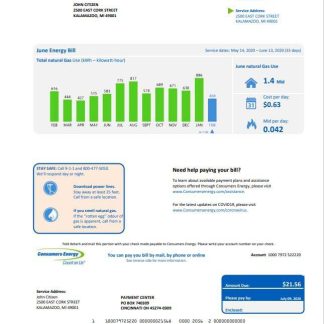 USA Michigan Consumers Energy utility bill template in Word and PDF format download template file
