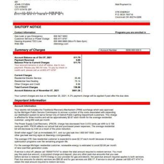 USA Michigan DTE Energy utility bill template in Word and PDF format download template file