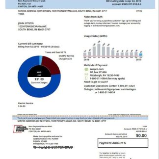 USA Michigan electricity utility bill template in Word and PDF format download template file