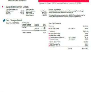 USA MidAmerican Energy Company utility bill template in Word and PDF formats, 3 pages, 3rd page download template file