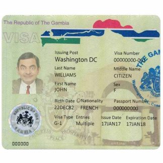 GAMBIA visa download template file