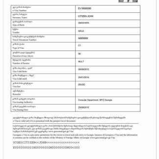 GEORGIA e visa download template file