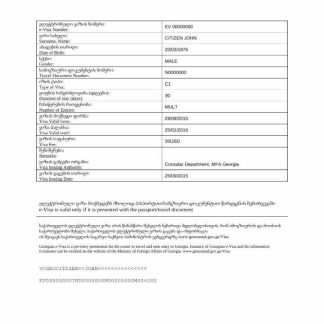 Georgia e visa in Word and PDF template download template file