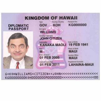 HAWAII visa download template file