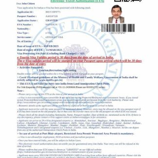 India e visa in Word and PDF template download template file