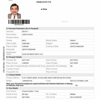 India e visa template in Word and PDF formats, version 2 download template file