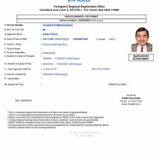 India e visa template in Word and PDF formats, version 3 download template file