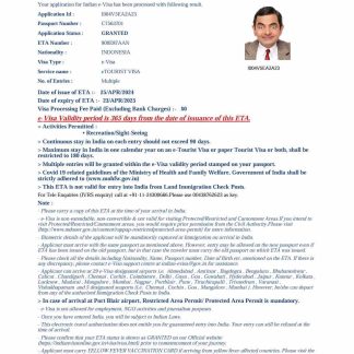 India e visa template in Word and PDF formats, version 4 download template file