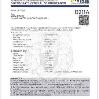 INDONESIA e visa download template file