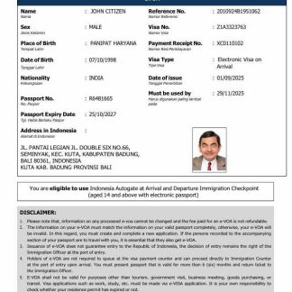 Indonesia e visa template in Word and PDF formats, version 2 download template file