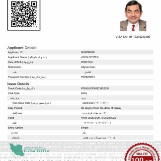 Iran e visa template in Word and PDF formats download template file
