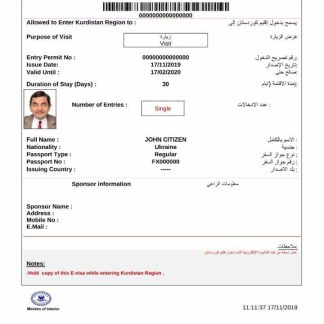 Iraq e visa in Word and PDF template download template file