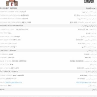 Iraq e visa template in Word and PDF formats download template file