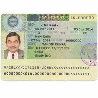 IREALAND visa download template file
