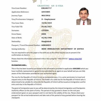 Ireland e visa template in Word and PDF formats download template file