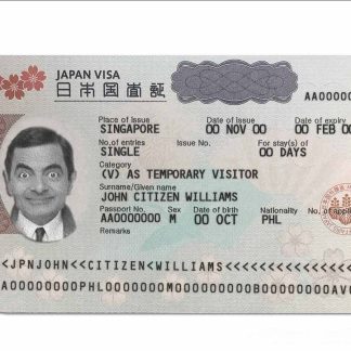 Japan tourist visa download template file