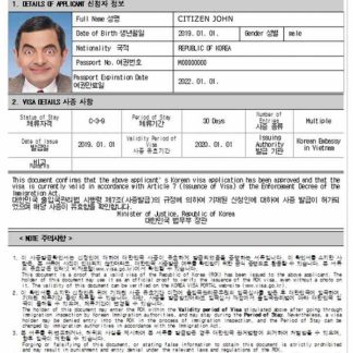 Korea e visa template in Word and PDF formats download template file