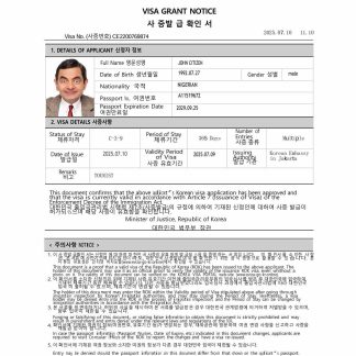 KOREA tourist card download template file