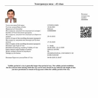 Kyrgystan e visa in Word and PDF template download template file