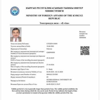 KYRGYZ e visa download template file