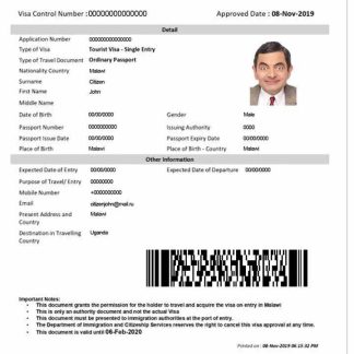 MALAWI e visa download template file