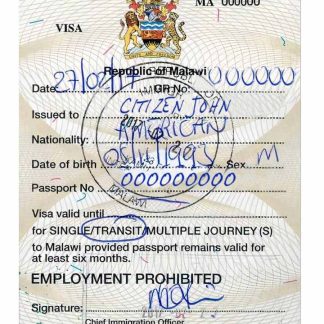 MALAWI travel visa download template file
