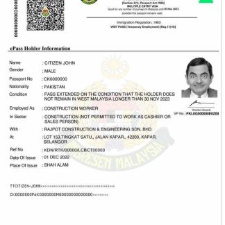 MALAYSIA e pass entry visa download template file