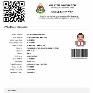 Malaysia e visa in Word and PDF template download template file