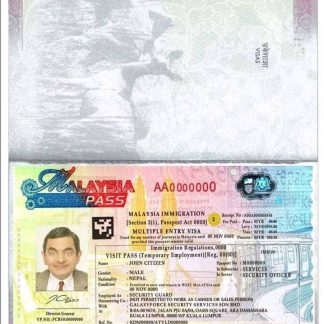 Malaysia multiple entry visa download template file