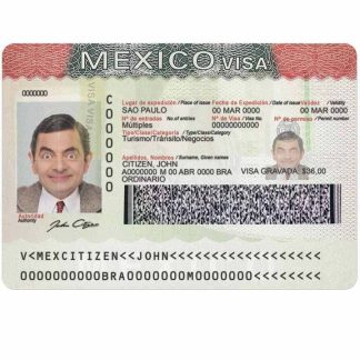 Mexico visa download template file