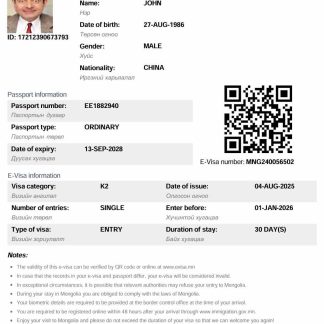 Mongolia electronic visa template in Word and PDF formats download template file