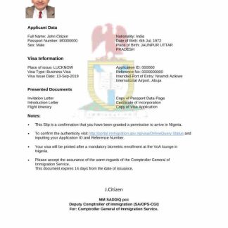 Nigeria e visa in Word and PDF template download template file