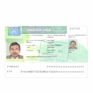 Nigeria visa 2024 present download template file