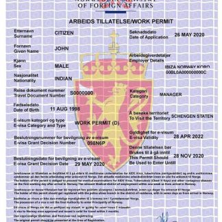 NORWAY work permit, e visa download template file