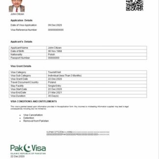 Pakistan e visa in Word and PDF template download template file