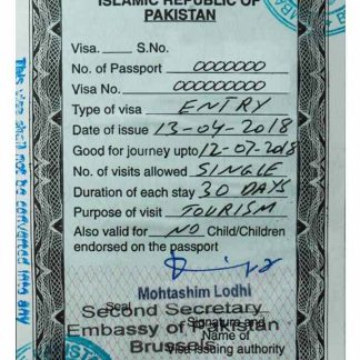 PAKISTAN entry visa download template file