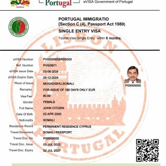 Portugal electronic visa download template file