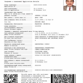 Russia e visa in Word and PDF template download template file