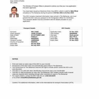 Bahamas e visa in Word and PDF template download template file
