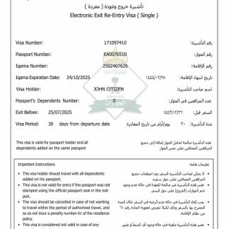 Saudi Arabia e visa template in Word and PDF formats, version 3 download template file