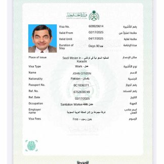 Saudi Arabia e visa template in Word and PDF formats, version 4 download template file