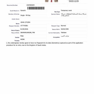 Saudi Arabia e visa template in Word and PDF formats, version 6 download template file