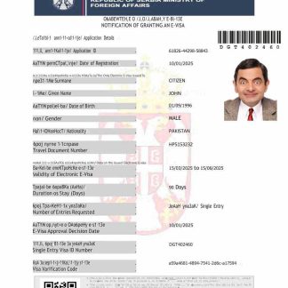 Serbia e visa template in Word and PDF formats download template file